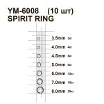 ym-6008_01